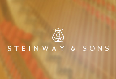 施坦威殿堂級鋼琴官網(wǎng)設(shè)計(jì)