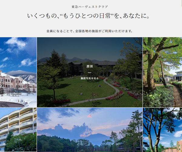 交互設(shè)計(jì)