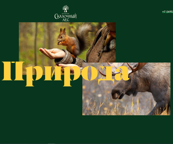 橫向的滑動(dòng)頁面