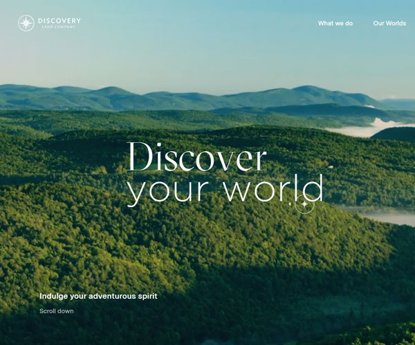 動態(tài)的首頁