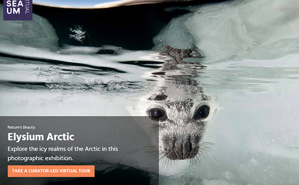 博物館行業(yè)網站建設