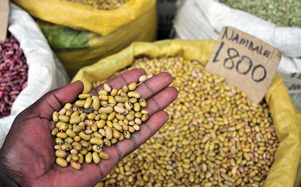 農(nóng)業(yè)可持續(xù)化發(fā)展