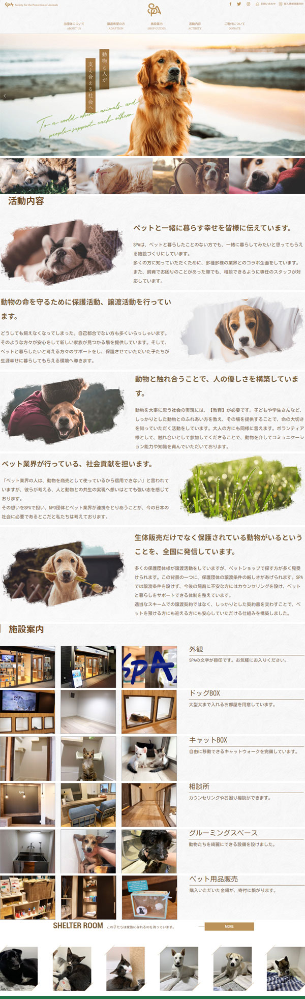 環(huán)境保護網(wǎng)站建設(shè)