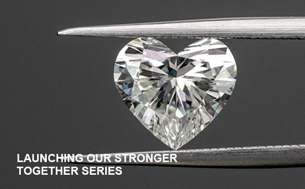 鉆石飾品行業(yè)網(wǎng)站開發(fā)