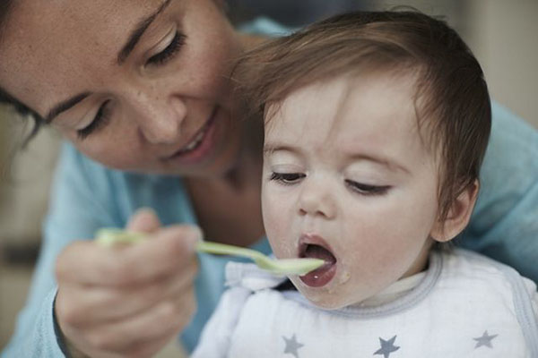 奶粉行業(yè)網(wǎng)站建設(shè)