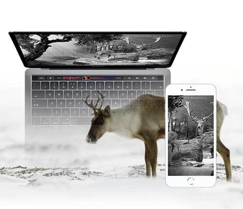 法式甜點(diǎn)沃德面包